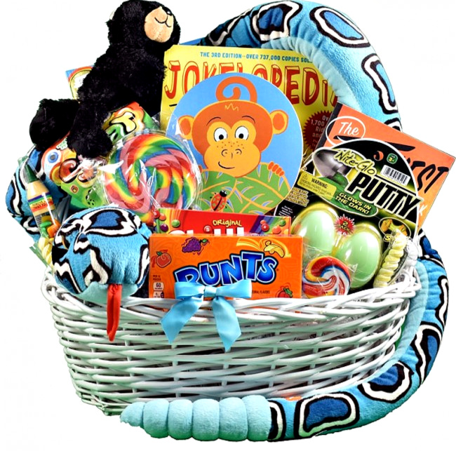 toys go here basket