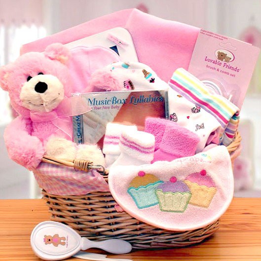 newborn baby girl basket