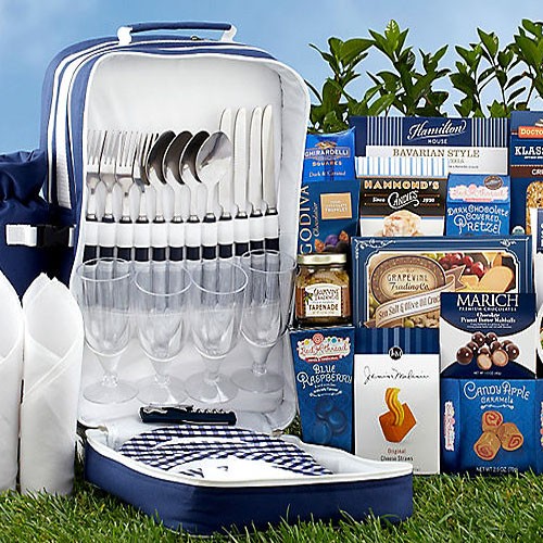 filled picnic backpack