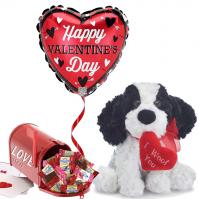 Puppy Dog Valentine, I Woof You
